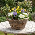 Blumendeko, Holzkorb mit Henkeln, Pflanzgefäß Natur, Weiß gewaschen H12cm Ø24cm | Floristik21.de
