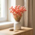 Trockenblumen Capblumen Lachs Strohblumen H42cm | Floristik21.de
