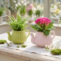Keramik Deko Teekanne Übertopf Rosa Grün 19,5×13,5×11cm Set 2 St | Floristik21.de