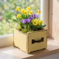 Pflanzschublade Holz Deko Pflanzkasten Gelb 12,5cm | Floristik21.de