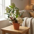 Lebensechte Skimmia japonica Kunstblumen Grün 45cm - Pflegeleichte Deko für stilvolle Raumgestaltung 2St | Floristik21.de