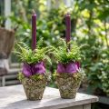 Pflanztopf rustikal Wald Optik Übertopf Ø12,5cm H12cm 2St | Floristik21.de