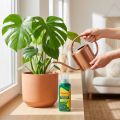 Seramis® Vitalnahrung Grünpflanzen und Palmen 200ml | Floristik21.de