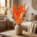 Hasenschwanzgras Orange Trockenblumen Deko 50-60cm 50g - Samtiges Lagurus für Tischdeko & Basteln | Floristik21.de