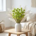 Trockenblumen Capblumen Hellgrün Strohblumen H42cm | Floristik21.de