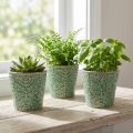 Übertopf Keramik Craquelé Glasur Grün Ø11cm H11cm 3St | Floristik21.de