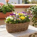 Pflanzkorb Korb Oval Rebe Natur Pflanzschale L30cm | Floristik21.de
