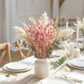 Hasenschwanzgras Lagurus Getrocknet Hellrosa 60cm 50g Trockenblumen Deko Künstlich Boho Hochzeit | Floristik21.de