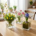 Glaswürfel klar 10cm x 10cm x 10cm 6 St | Floristik21.de