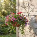 Wandhaken, Pflanzenhalterung Metall, Blumenampel Halterung H30cm T28,5cm | Floristik21.de