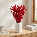 Hasenschwanzgras Lagurus Getrocknet Rot 60cm 50g Trockenblumen Deko | Floristik21.de
