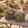 Pflanzkasten Blumentopf Holz Rinde L23/29,5cm 2er-Set | Floristik21.de