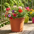 Topf „Irys“ Plastik Terrakotta Ø33cm H27,5cm 1 St | Floristik21.de