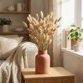 Lagurus ovatus Trockenblumen Lampenputzergras Samtgras Deko Hellbraun 20-50cm 25g | Floristik21.de