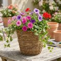 Pflanzkorb aus Rebe Ø25cm H22,5cm Natur Übertopf | Floristik21.de