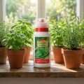 Combiflor Kräuterdünger 250ml | Floristik21.de