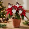 Weihnachtswichtel Blumenstecker 6x7cm Holzdeko für festliche Pflanzenarrangements, 12er-Set | Floristik21.de
