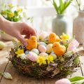 Kleine Osterküken Gelb Orange Beflockt Deko 18 St für Floristen | Floristik21.de