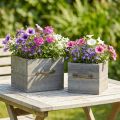 Pflanzgefäß Holzschublade Grau gewaschen 15×15cm/12×12cm 2er-Set | Floristik21.de