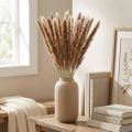 Trockengräser Pampasgras Natur Bund 80cm 100g | Floristik21.de