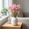 Trockenblumen Capblumen Pink Strohblumen H42cm | Floristik21.de