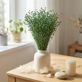 Trockengras Getrockneter Flachs Grün 50–55cm Deko DIY | Floristik21.de