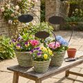 Blumenkorb Henkel Metallschild Set Ø23/20/17cm für Dekoration und Floristen | Floristik21.de