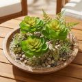 Echeveria Künstliche Sukkulenten Grün 7cm 6er-Set für Dekoration und Floristik | Floristik21.de