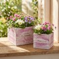 Pflanzschublade mit Griff Rosa Weiß Holz 12/15cm 2er-Set | Floristik21.de