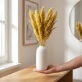Trockengras Riedgras Gelb Deko 70cm Trockenblumen 10 St | Floristik21.de