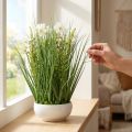Deko Gras mit Cosmea-Blüten in Schale H45cm | Floristik21.de