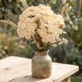 Schafgarbe künstlich creme 30cm 6 Stiele für Dekoration | Floristik21.de