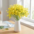 Gypsophila Rispiges Gipskraut Gelbe Blüten Dekoration 4 St | Floristik21.de