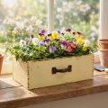 Holz Schublade zum Bepflanzen Gelb Shabby Chic 25×13×8cm | Floristik21.de
