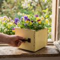 Shabby Deko Schublade zum Bepflanzen Gelb Holz 12,5×12,5×10cm | Floristik21.de