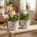 Deko-Topf Birke geweißt Pflanztopf Ø18cm H15cm 2St | Floristik21.de