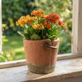 Beton Blumentopf Übertopf Terracotta Topf Ø13cm H13cm | Floristik21.de