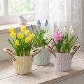 Pflanzeimer, Metalltopf mit Henkeln, Dekogefäß zum Bepflanzen Rosa/Grün/Gelb Shabby Chic Ø12cm H10cm 3er-Set | Floristik21.de