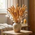 Trockenblumen Setaria Pumila Orange, Borstenhirse Deko Getreide 72cm 200g | Floristik21.de