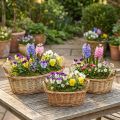 Pflanzkorb geflochten Korb oval Weide 42/34/28cm 3er-Set | Floristik21.de