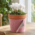 Filzband, Topfband zweifarbig Altrosa/Grau 15cm 5m | Floristik21.de