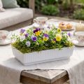 Steckschale Lara 15cm x 8cm x 4cm 10St | Floristik21.de