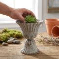 Pokal Grau Antik Optik Ø12cm H13,5cm | Floristik21.de