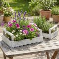 Blumenkasten Shabby Chic Pflanzkasten Holz Weiß 38/31cm 2er-Set | Floristik21.de