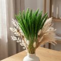 Grüne Borstenhirse Setaria viridis Trockengras 52cm 28g | Floristik21.de