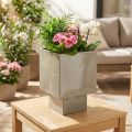 Würfel-Pflanzgefäß aus Metall 22 cm Grün mit erhöhtem Stand | Floristik21.de