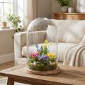 Glasglocke mit Teller aus Holz Glas Deko Ø17cm H25cm | Floristik21.de