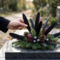 Schwarze Federn Deko Gänsefedern Schwarz 11-14cm 180 St | Floristik21.de