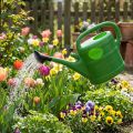 Gießkanne 10l Maigrün | Floristik21.de