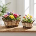 Pflanzgefäß Deko-Korb eckig Naturfarben 21×16/16×13cm 2er-Set | Floristik21.de